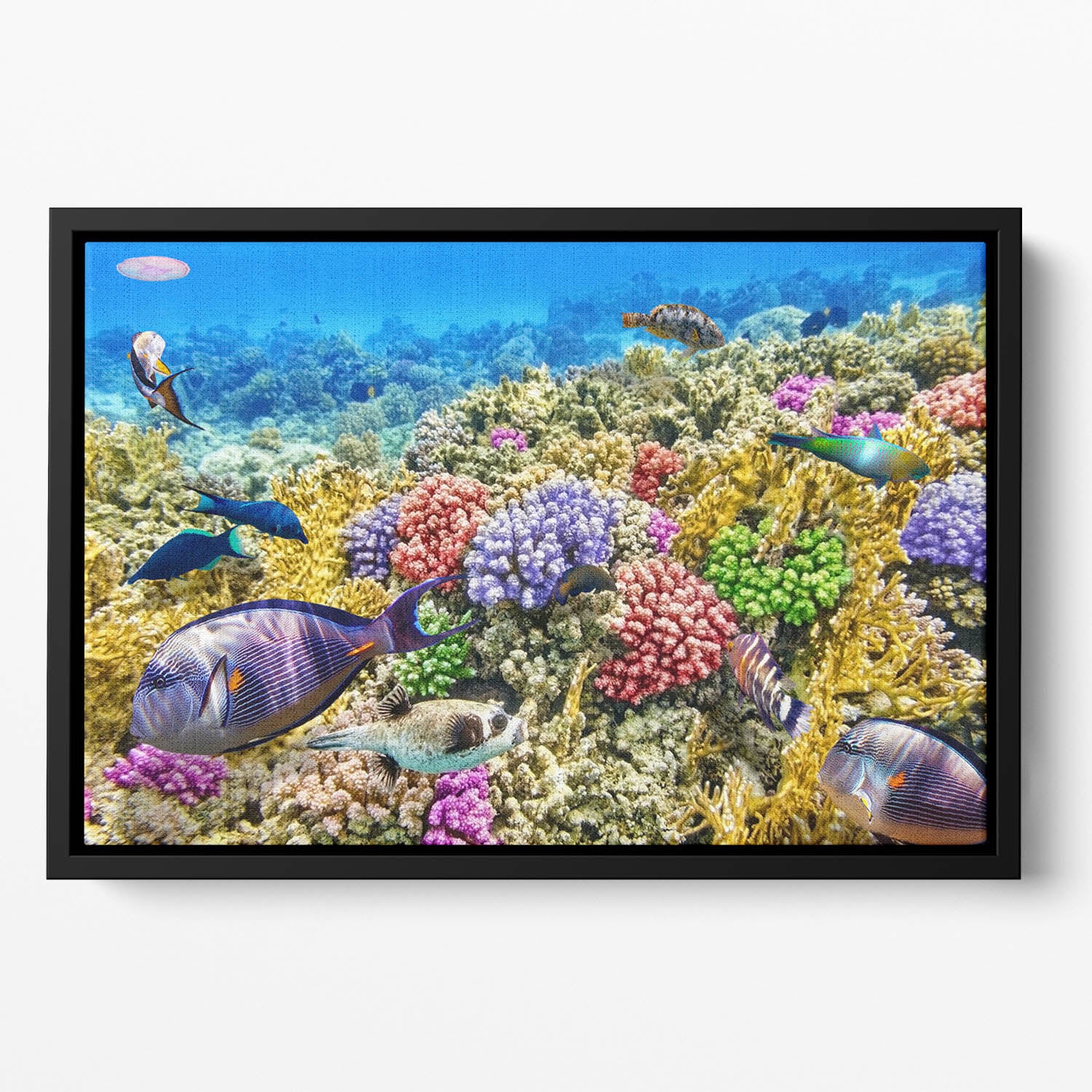 Underwater world with corals and tropical fish Floating Framed Canvas