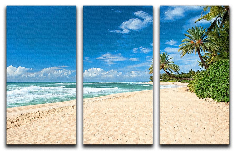 Untouched sandy beach with palms trees 3 Split Panel Canvas Print - Canvas Art Rocks - 1