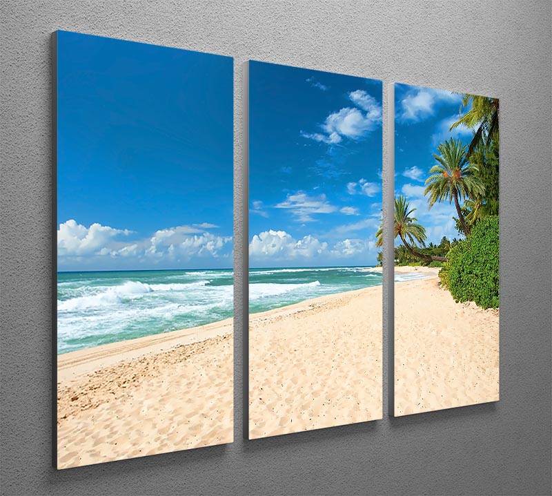 Untouched sandy beach with palms trees 3 Split Panel Canvas Print - Canvas Art Rocks - 2
