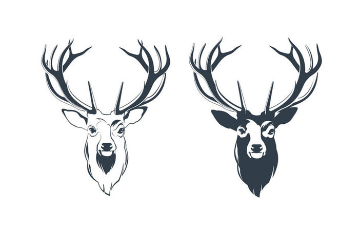 Vector Illustration of a Male Red Deer Head Wall Mural Wallpaper