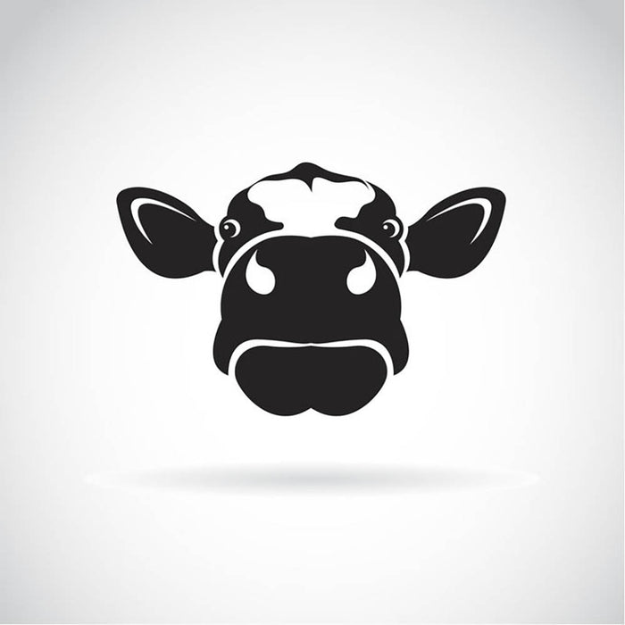 Vector image of an cow Wall Mural Wallpaper