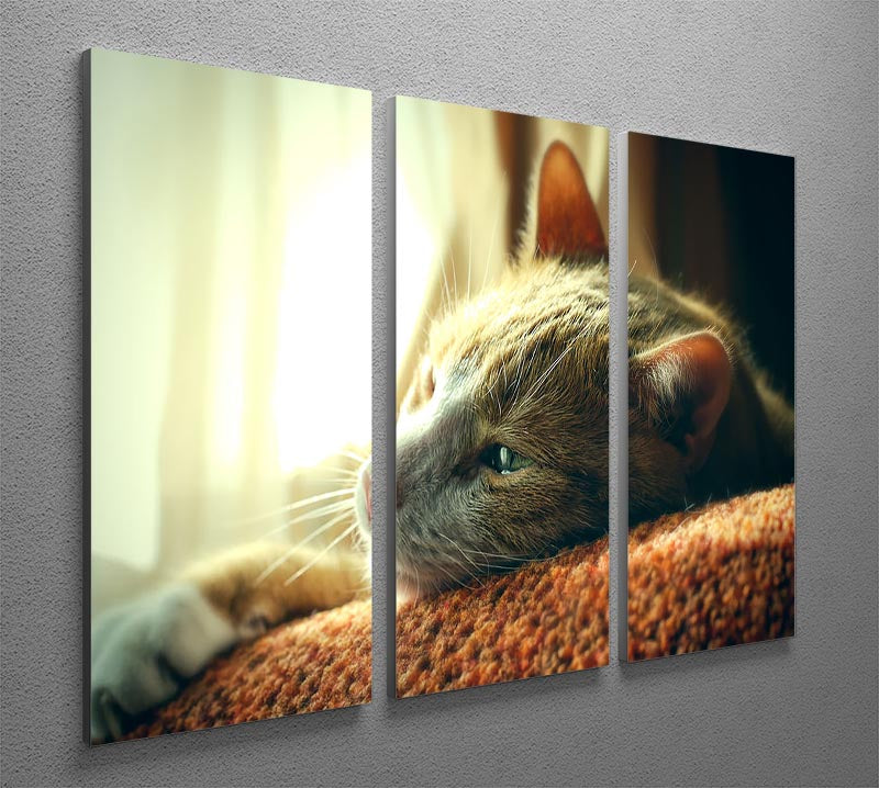 Very Sad Red Cat 3 Split Panel Canvas Print - Canvas Art Rocks - 2
