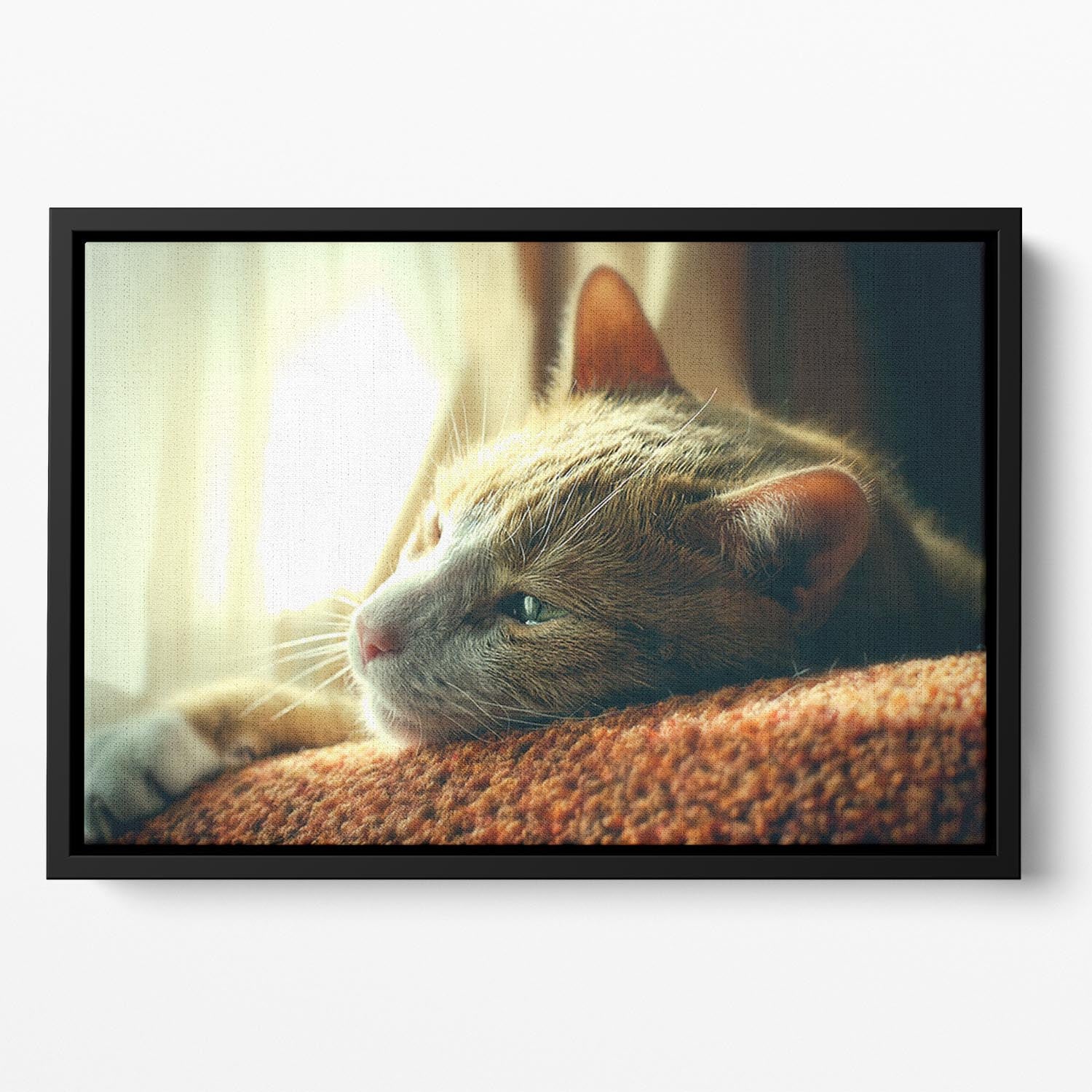 Very Sad Red Cat Floating Framed Canvas - Canvas Art Rocks - 2
