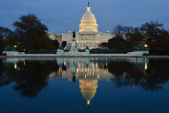 View Capitol in Washington dusk Wall Mural Wallpaper