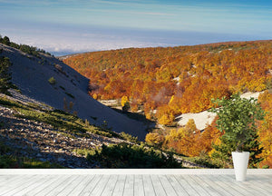 View from the Mount Ventoux Wall Mural Wallpaper - Canvas Art Rocks - 4