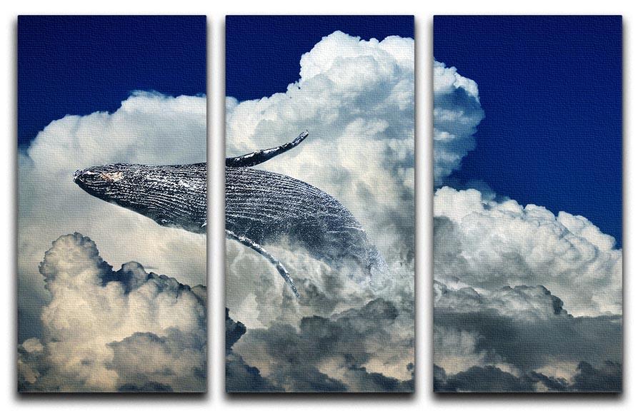 Wale Sky 3 Split Panel Canvas Print - Canvas Art Rocks - 1