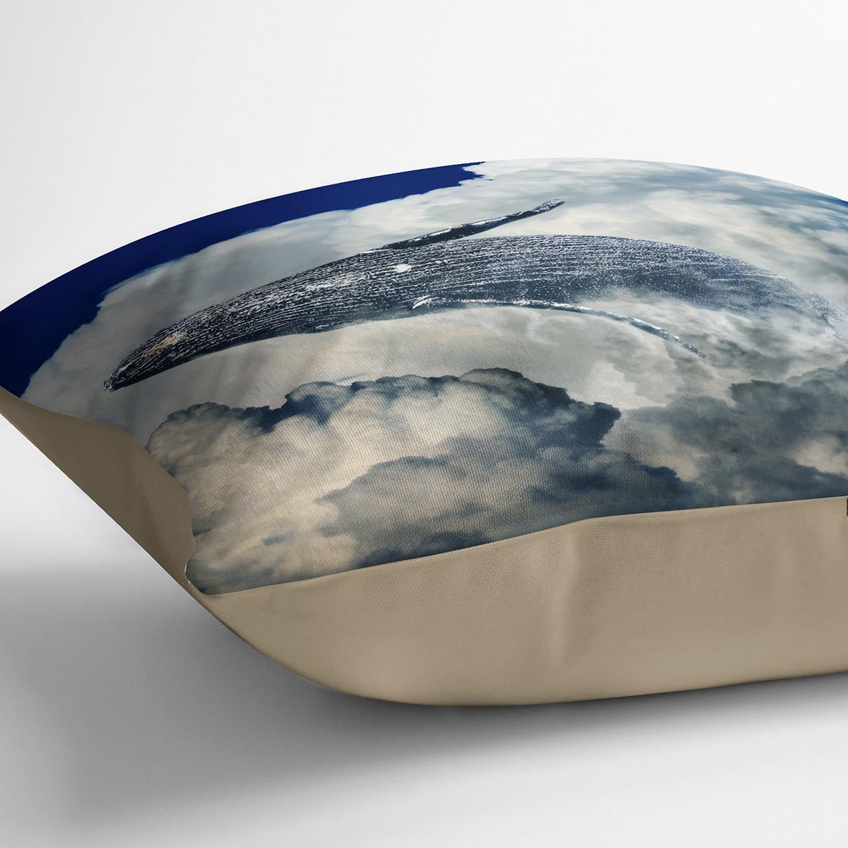 Wale Sky Cushion