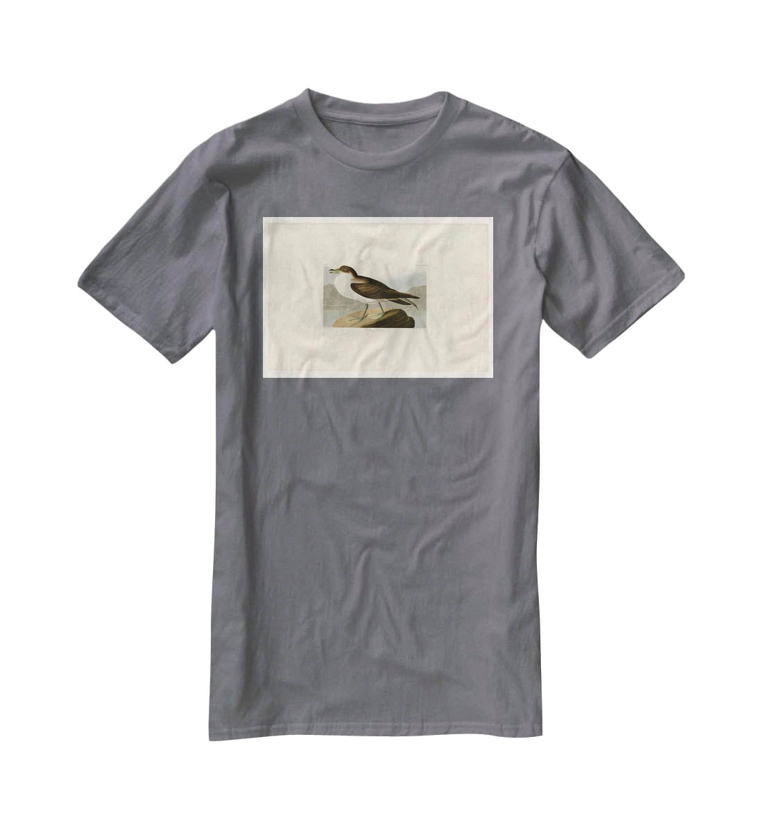 Wandering Shearwater by Audubon T-Shirt - Canvas Art Rocks - 3
