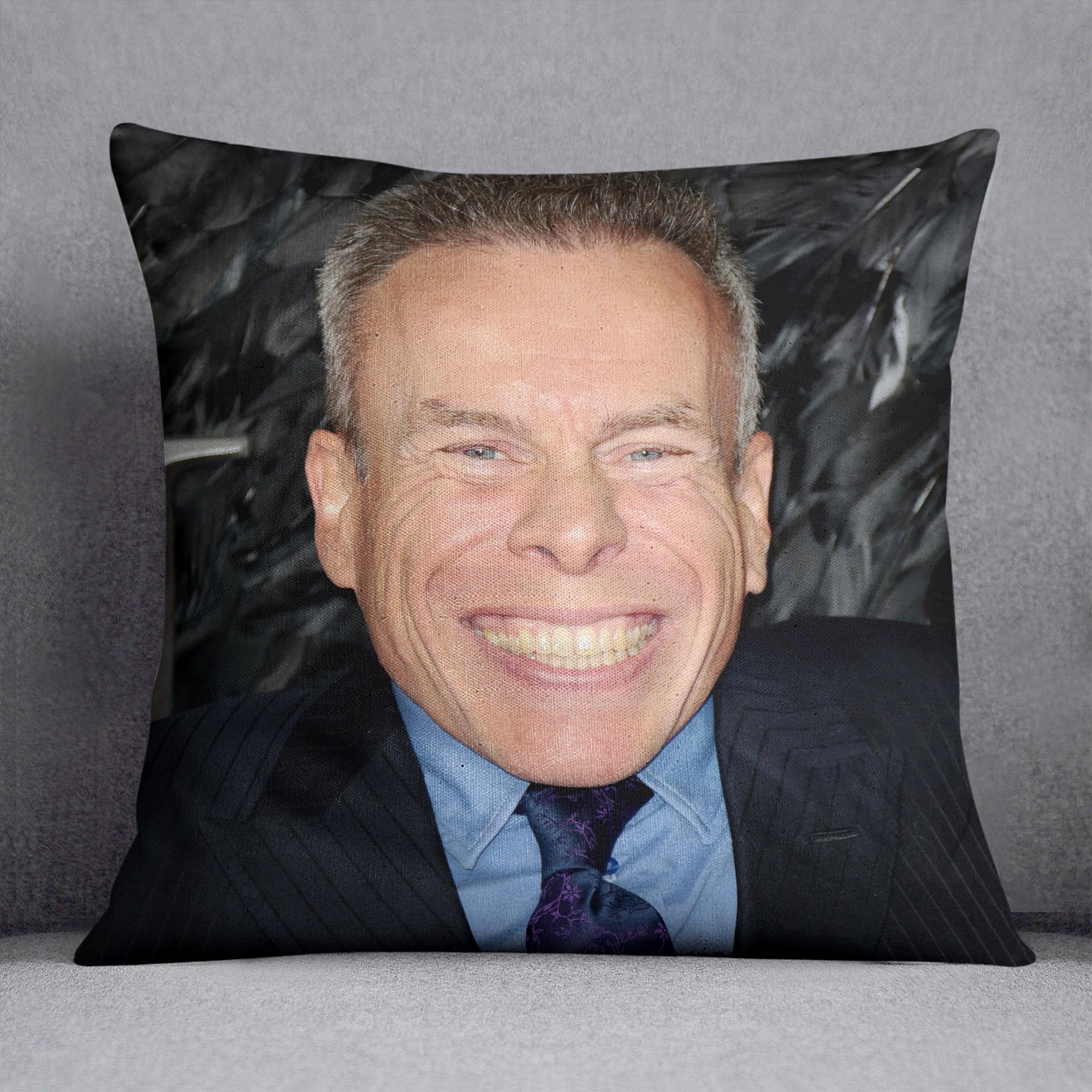 Warwick Davis Cushion - Canvas Art Rocks - 1