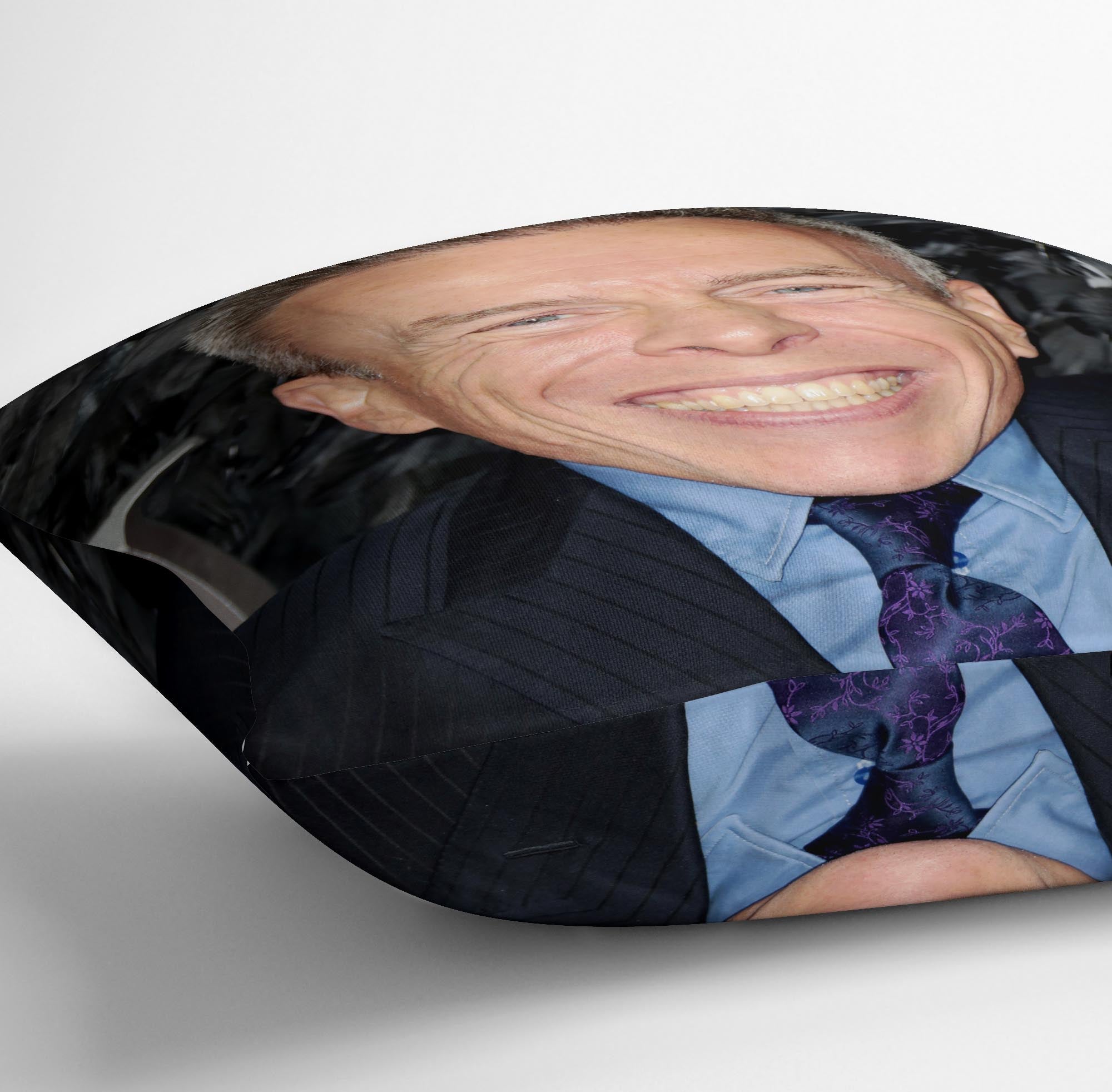 Warwick Davis Cushion - Canvas Art Rocks - 3