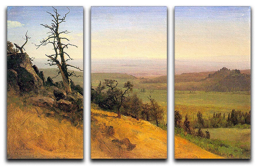 Wasatch Mountains Nebraska by Bierstadt 3 Split Panel Canvas Print - Canvas Art Rocks - 1