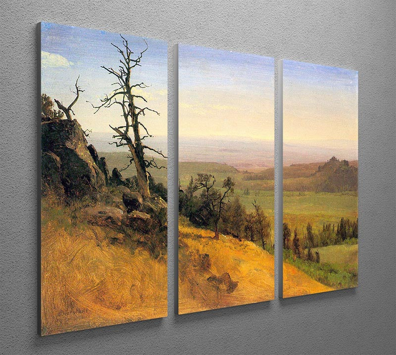 Wasatch Mountains Nebraska by Bierstadt 3 Split Panel Canvas Print - Canvas Art Rocks - 2