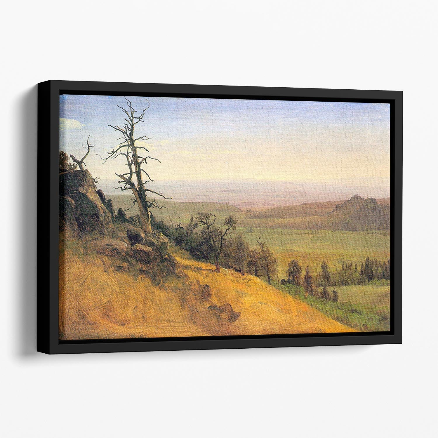 Wasatch Mountains Nebraska by Bierstadt Floating Framed Canvas - Canvas Art Rocks - 1