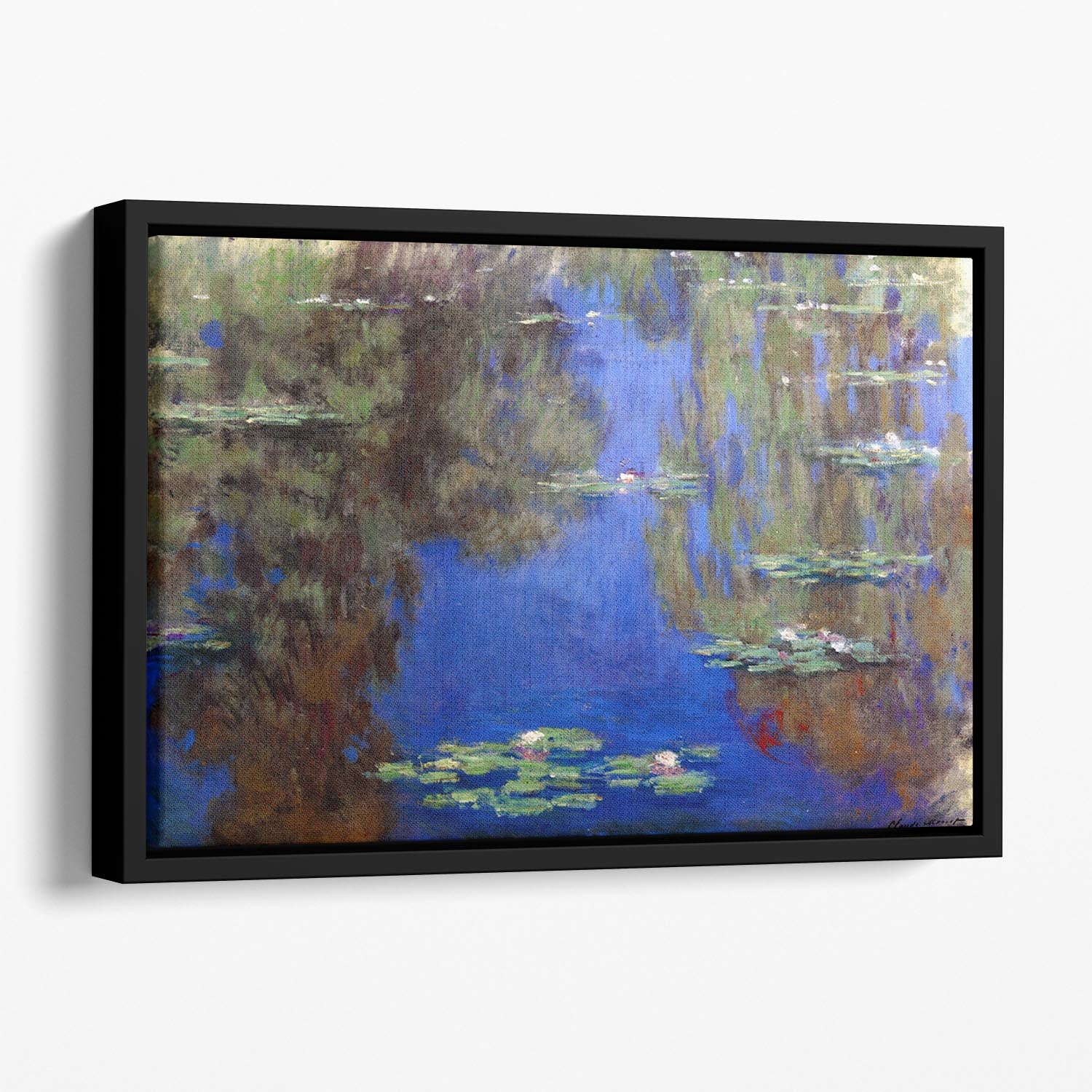 Water Lilies 6 By Manet Floating Framed Canvas