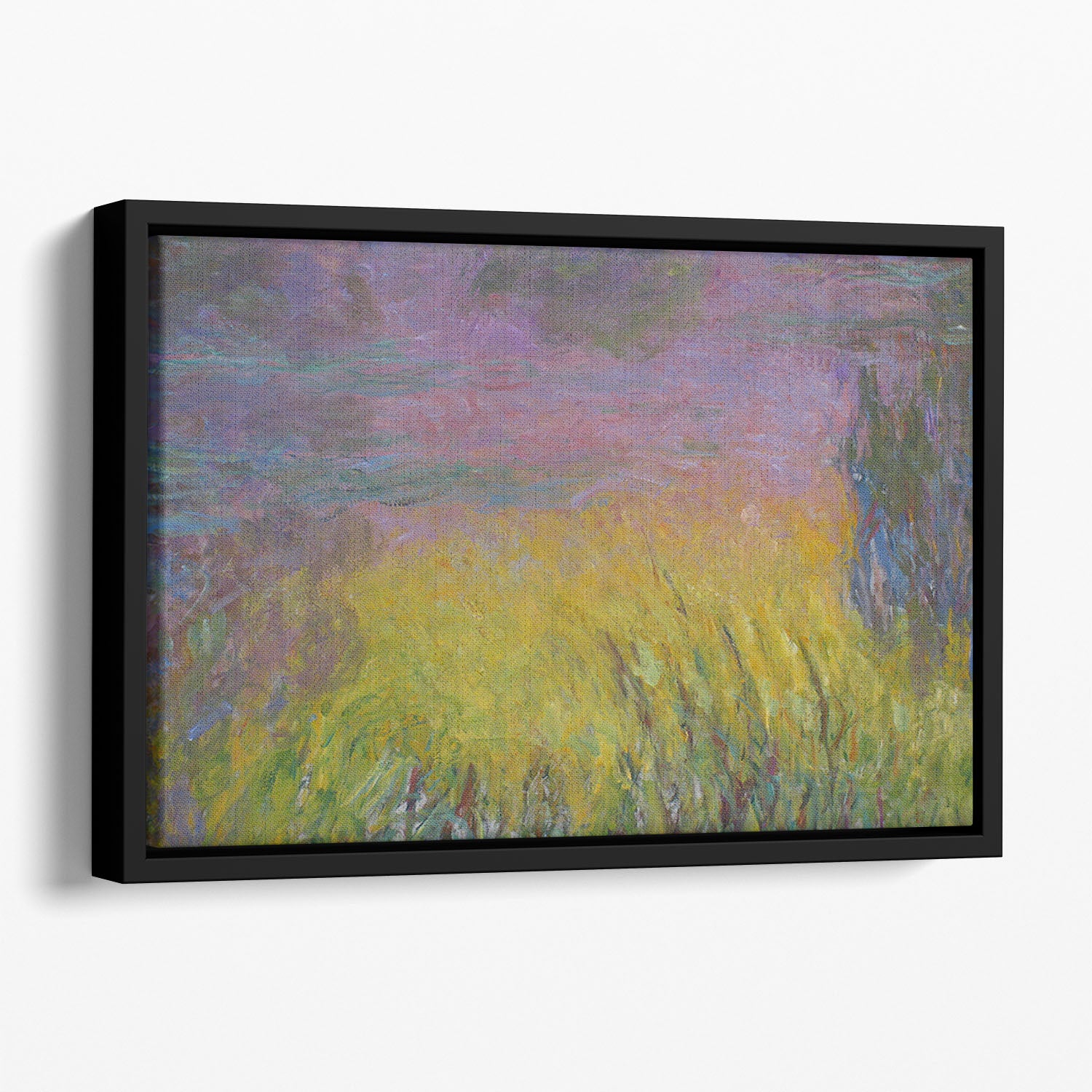 Water Lillies 12 by Monet Floating Framed Canvas