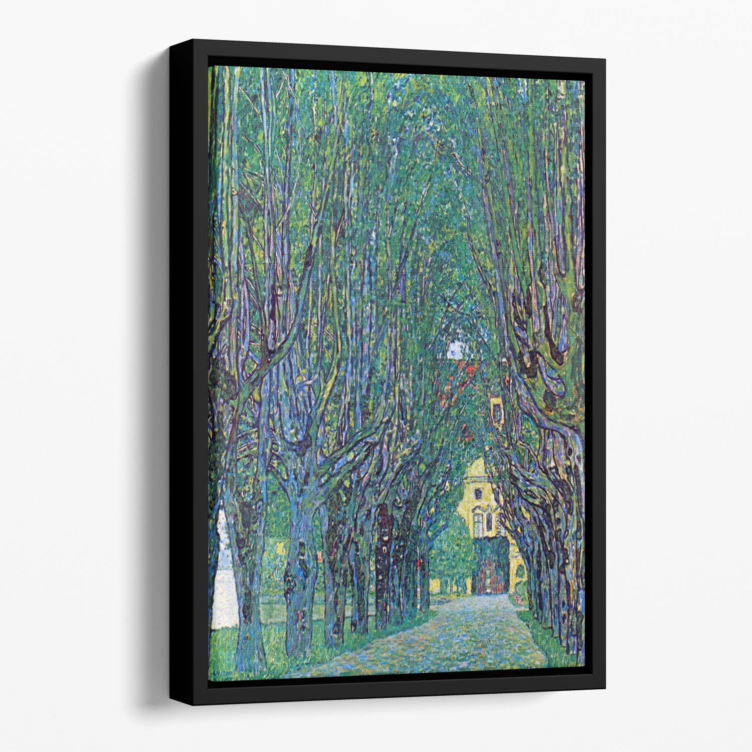 Way to the Park by Klimt Floating Framed Canvas
