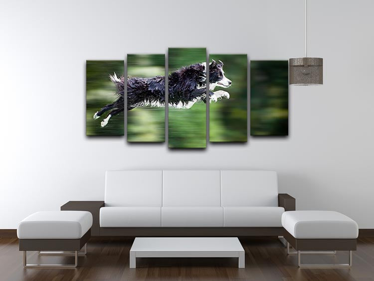 Wet border collie dog in midair 5 Split Panel Canvas - Canvas Art Rocks - 3