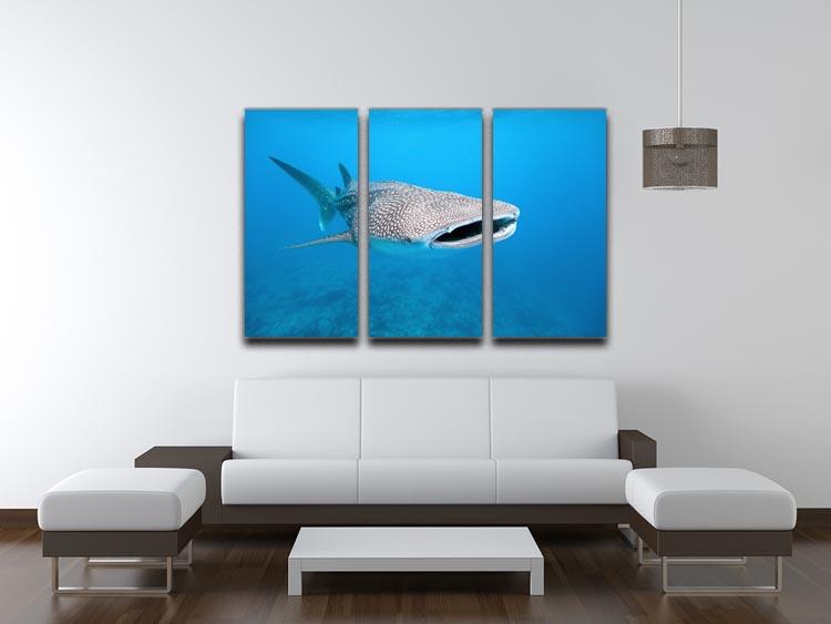 Whale shark 3 Split Panel Canvas Print - Canvas Art Rocks - 3