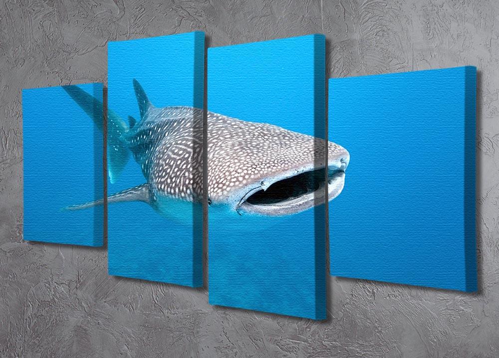 Whale shark 4 Split Panel Canvas  - Canvas Art Rocks - 2