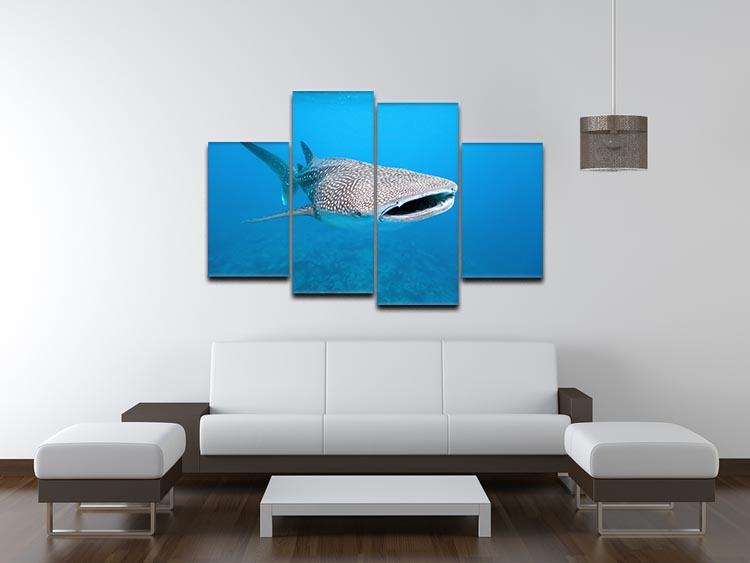 Whale shark 4 Split Panel Canvas  - Canvas Art Rocks - 3