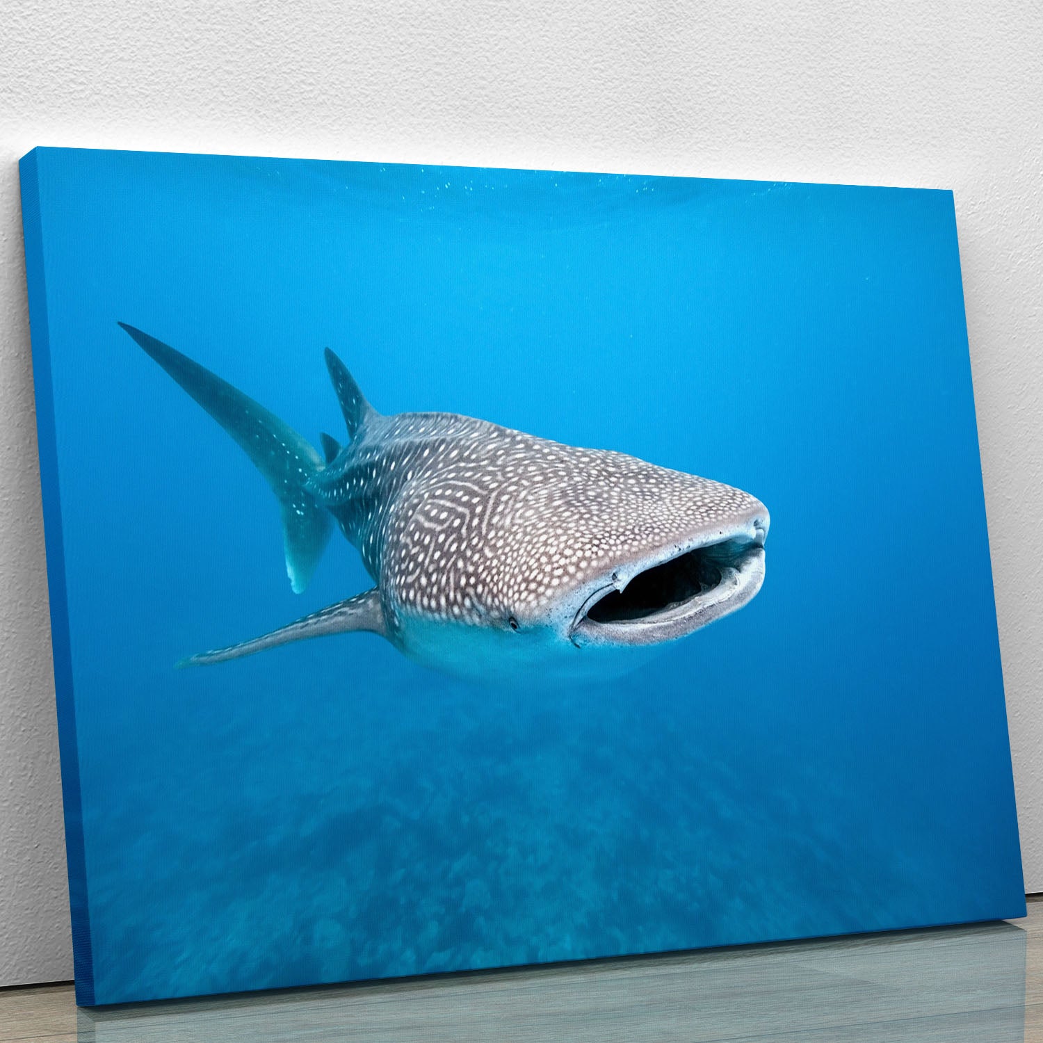 Whale shark Canvas Print or Poster - Canvas Art Rocks - 1