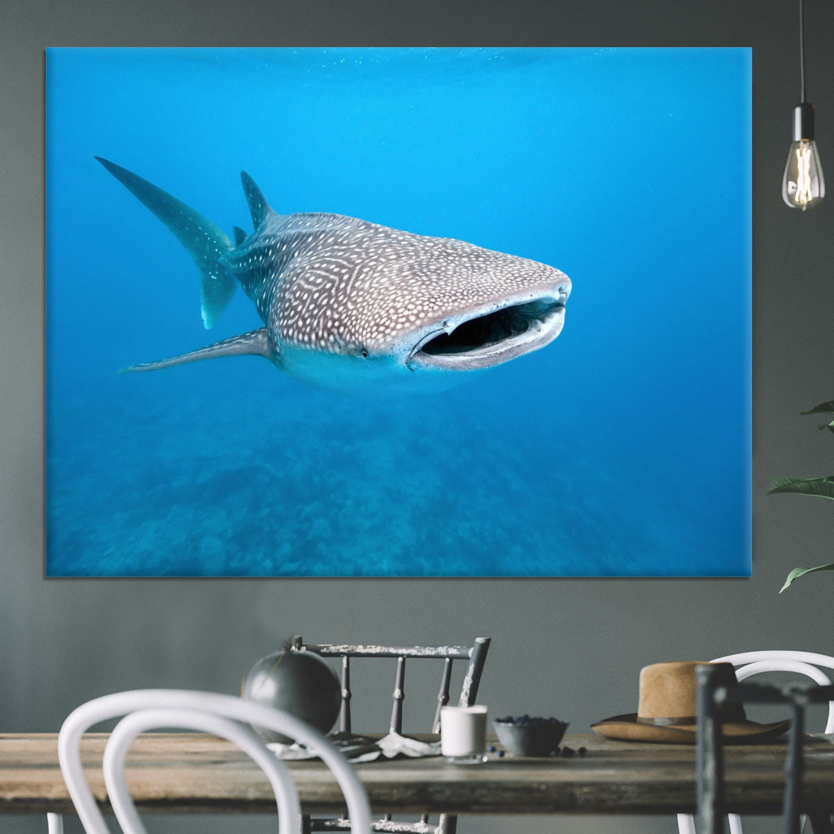 Whale shark Canvas Print or Poster - Canvas Art Rocks - 3
