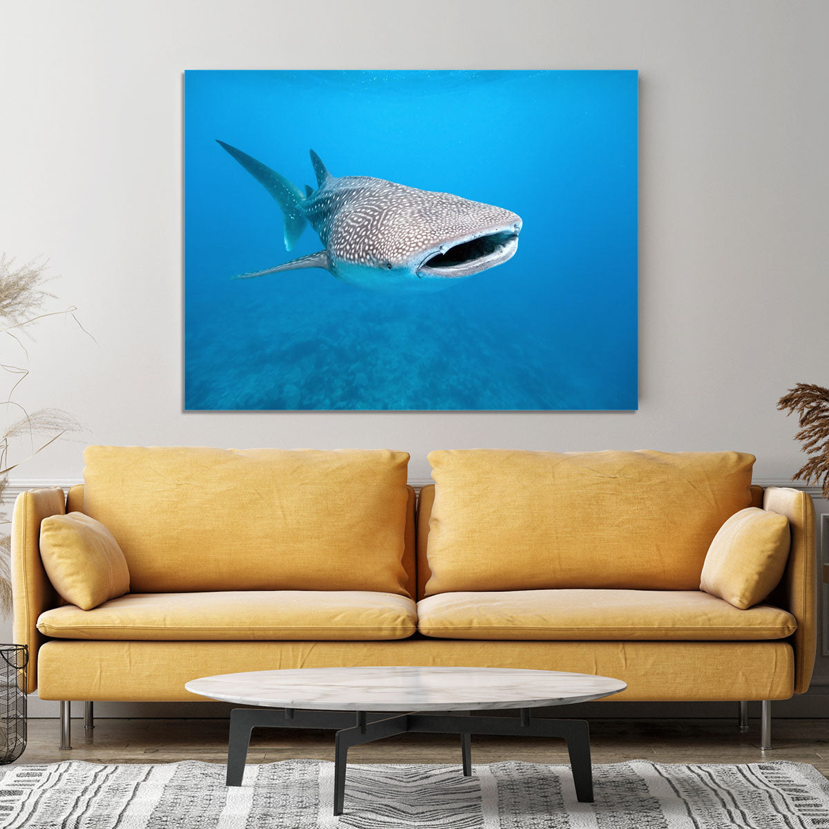 Whale shark Canvas Print or Poster - Canvas Art Rocks - 4