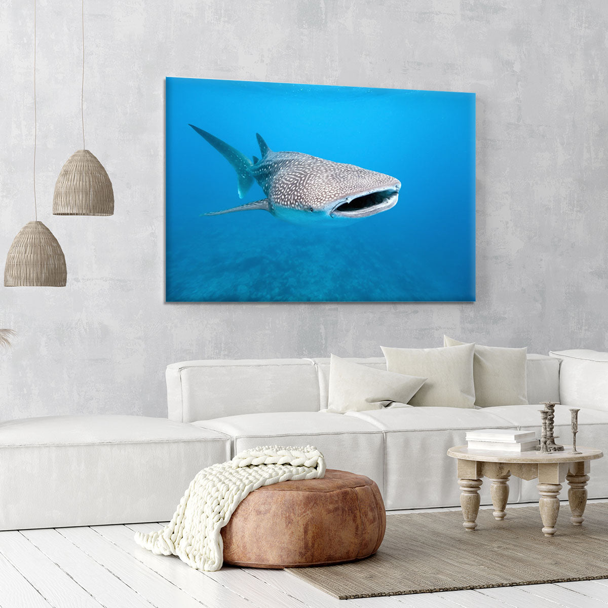 Whale shark Canvas Print or Poster - Canvas Art Rocks - 6