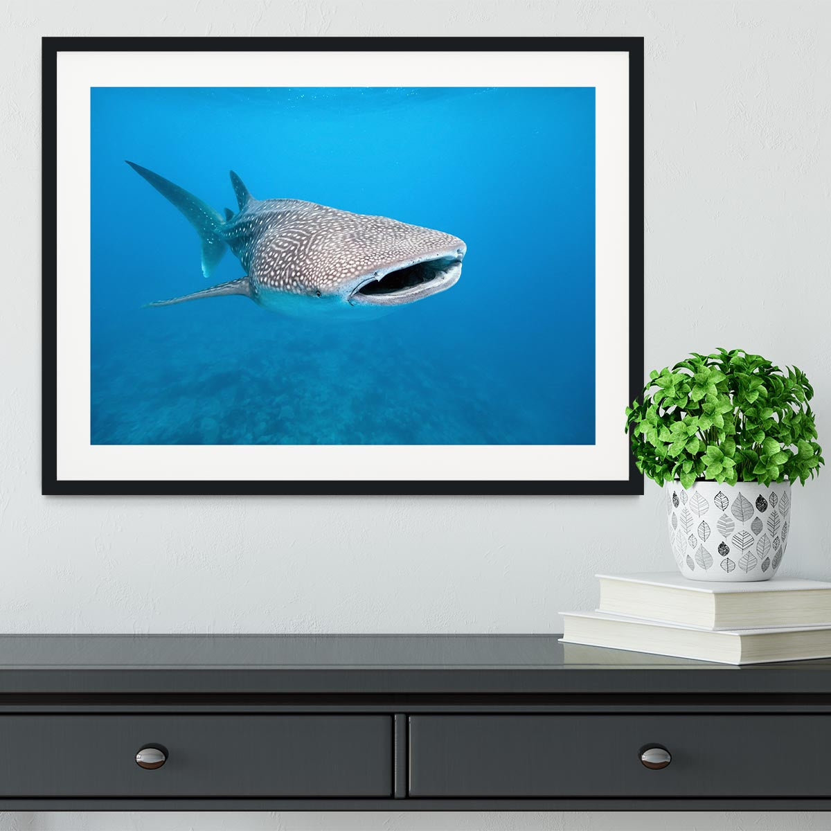 Whale shark Framed Print - Canvas Art Rocks - 1