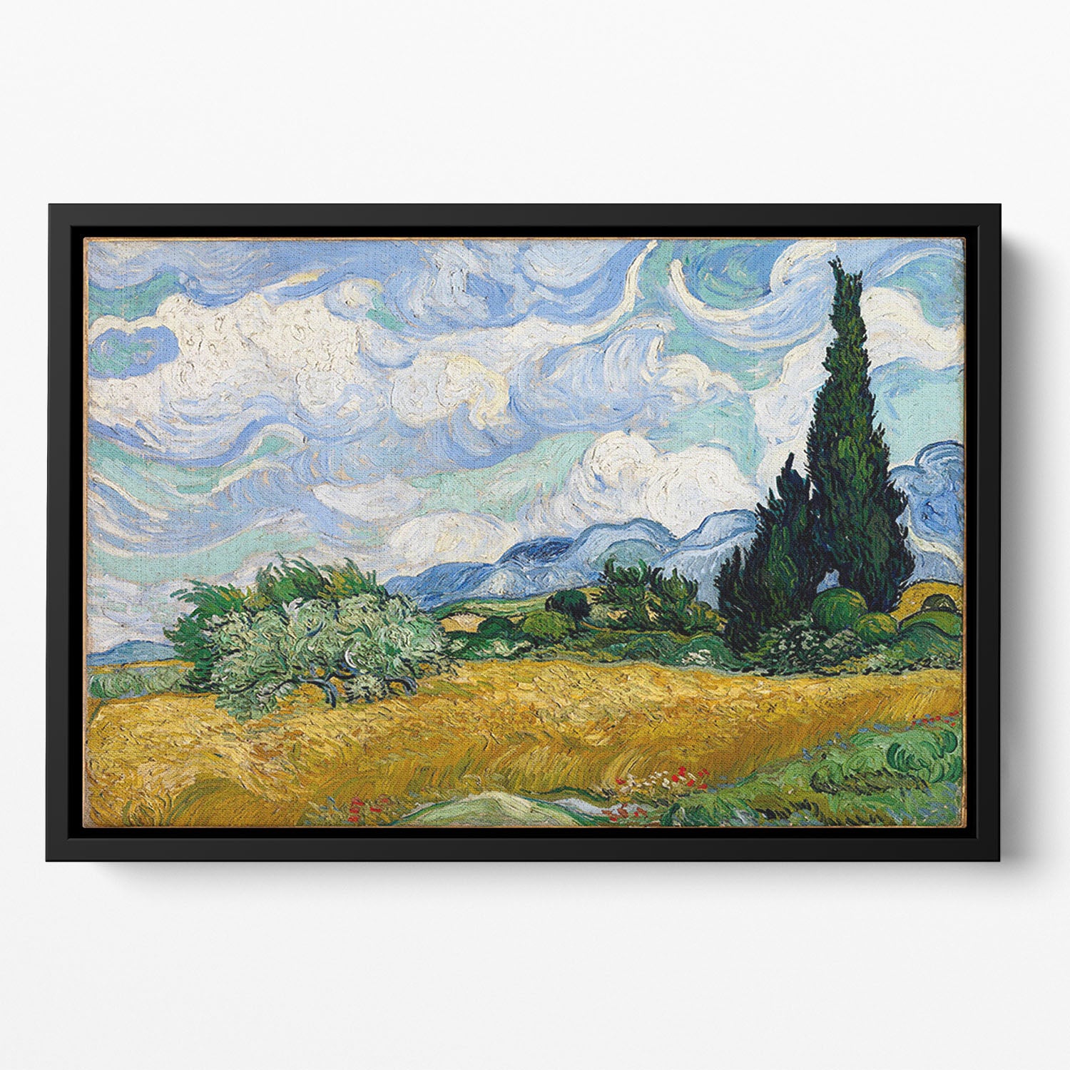 Wheat Field with Cypresses Floating Framed Canvas