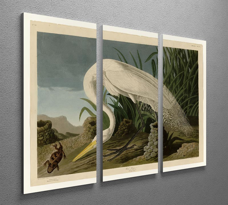 White Heron by Audubon 3 Split Panel Canvas Print - Canvas Art Rocks - 2