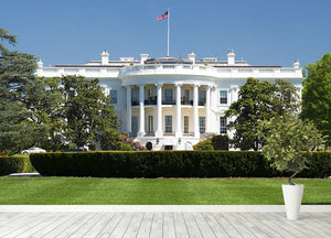 White House on deep blue sky background Wall Mural Wallpaper - Canvas Art Rocks - 4