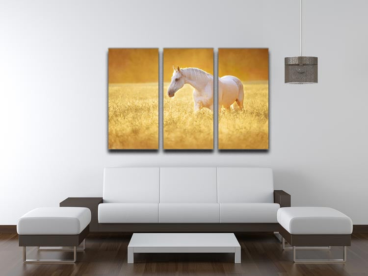 White Orlov trotter horse in rye 3 Split Panel Canvas Print - Canvas Art Rocks - 3