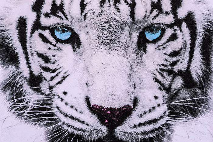White Tiger Face Wall Mural Wallpaper