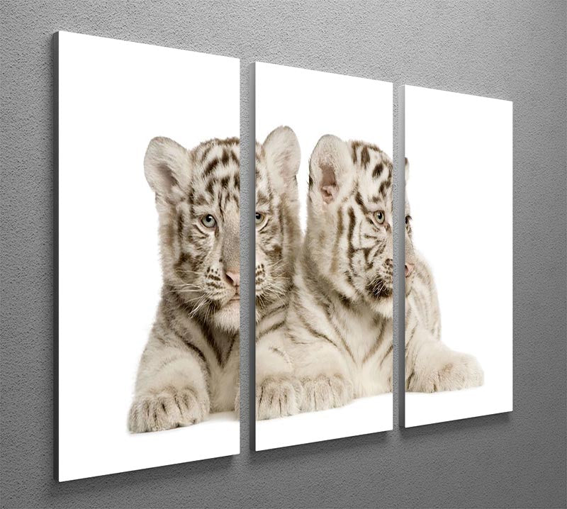 White Tiger cubs 3 Split Panel Canvas Print - Canvas Art Rocks - 2