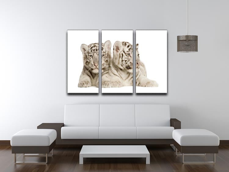 White Tiger cubs 3 Split Panel Canvas Print - Canvas Art Rocks - 3