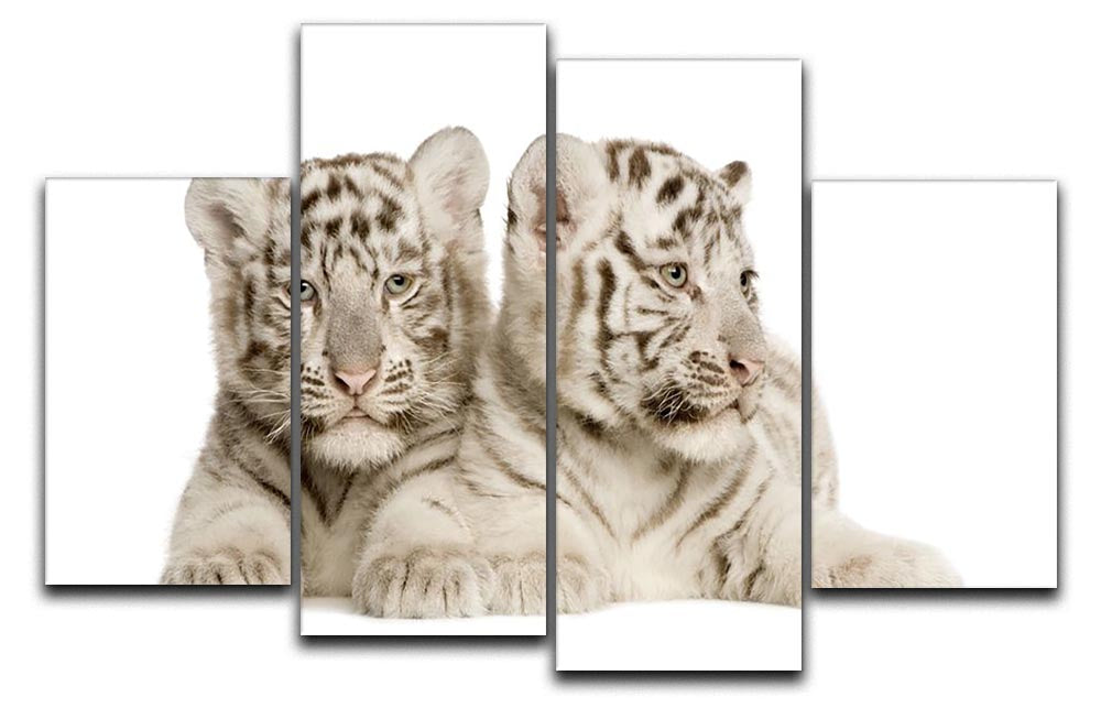 White Tiger cubs 4 Split Panel Canvas - Canvas Art Rocks - 1