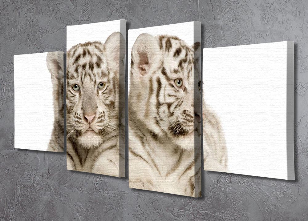 White Tiger cubs 4 Split Panel Canvas - Canvas Art Rocks - 2