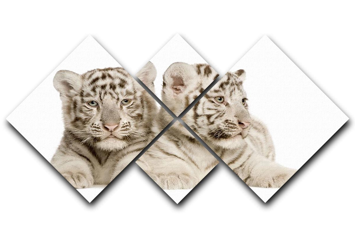 White Tiger cubs 4 Square Multi Panel Canvas - Canvas Art Rocks - 1