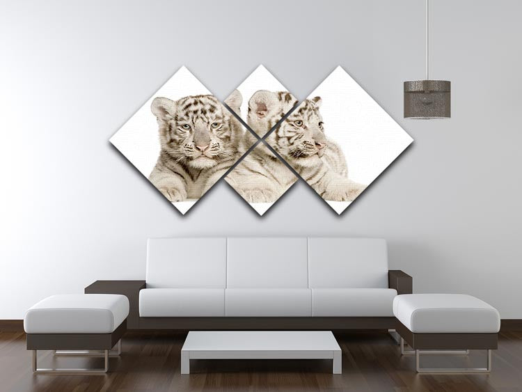 White Tiger cubs 4 Square Multi Panel Canvas - Canvas Art Rocks - 3