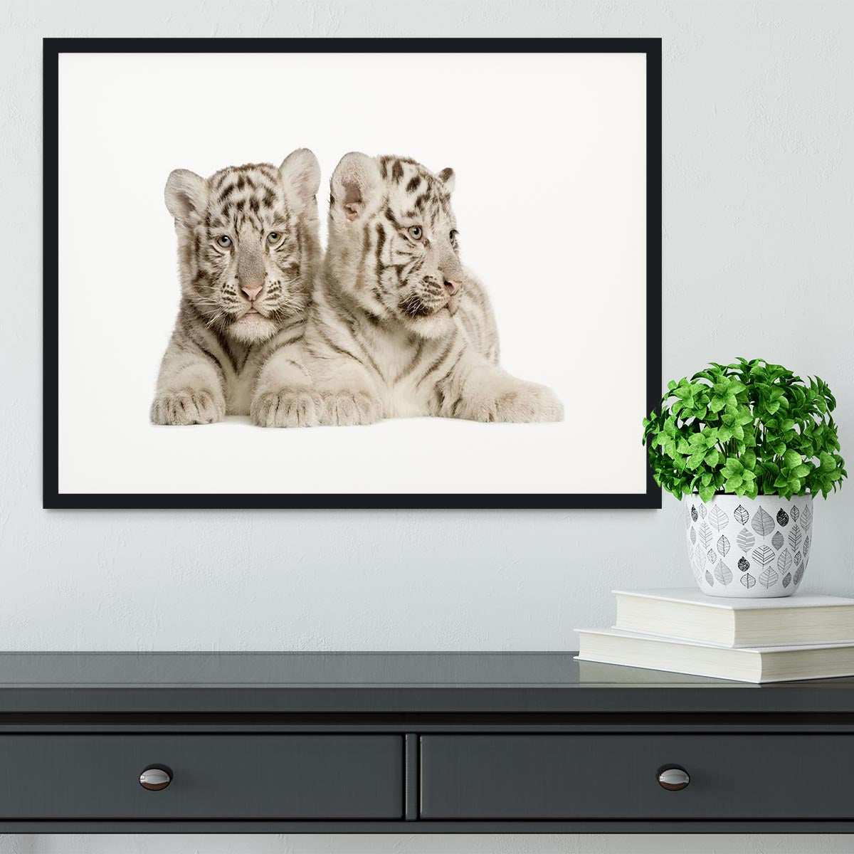 White Tiger cubs Framed Print - Canvas Art Rocks - 1