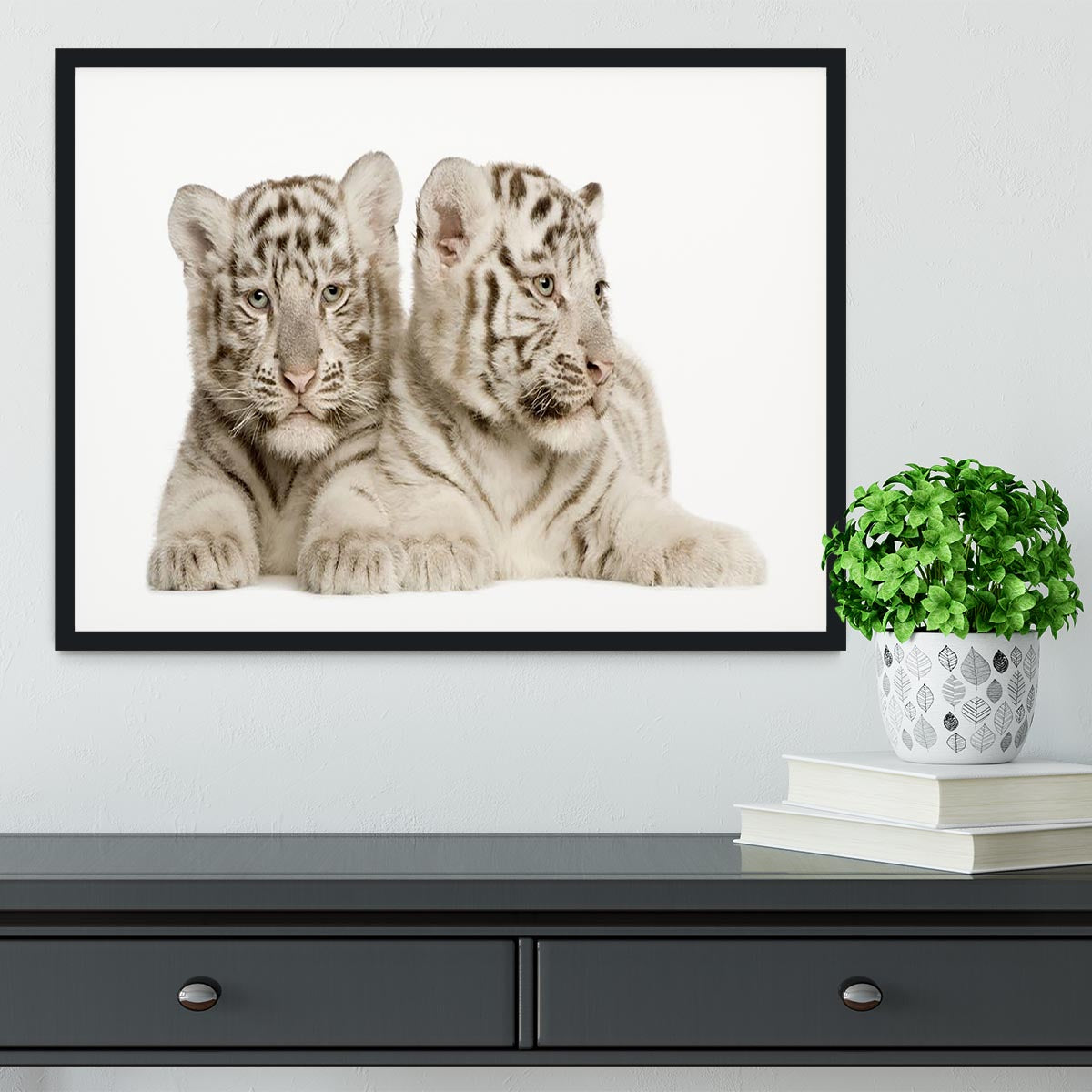 White Tiger cubs Framed Print - Canvas Art Rocks - 2