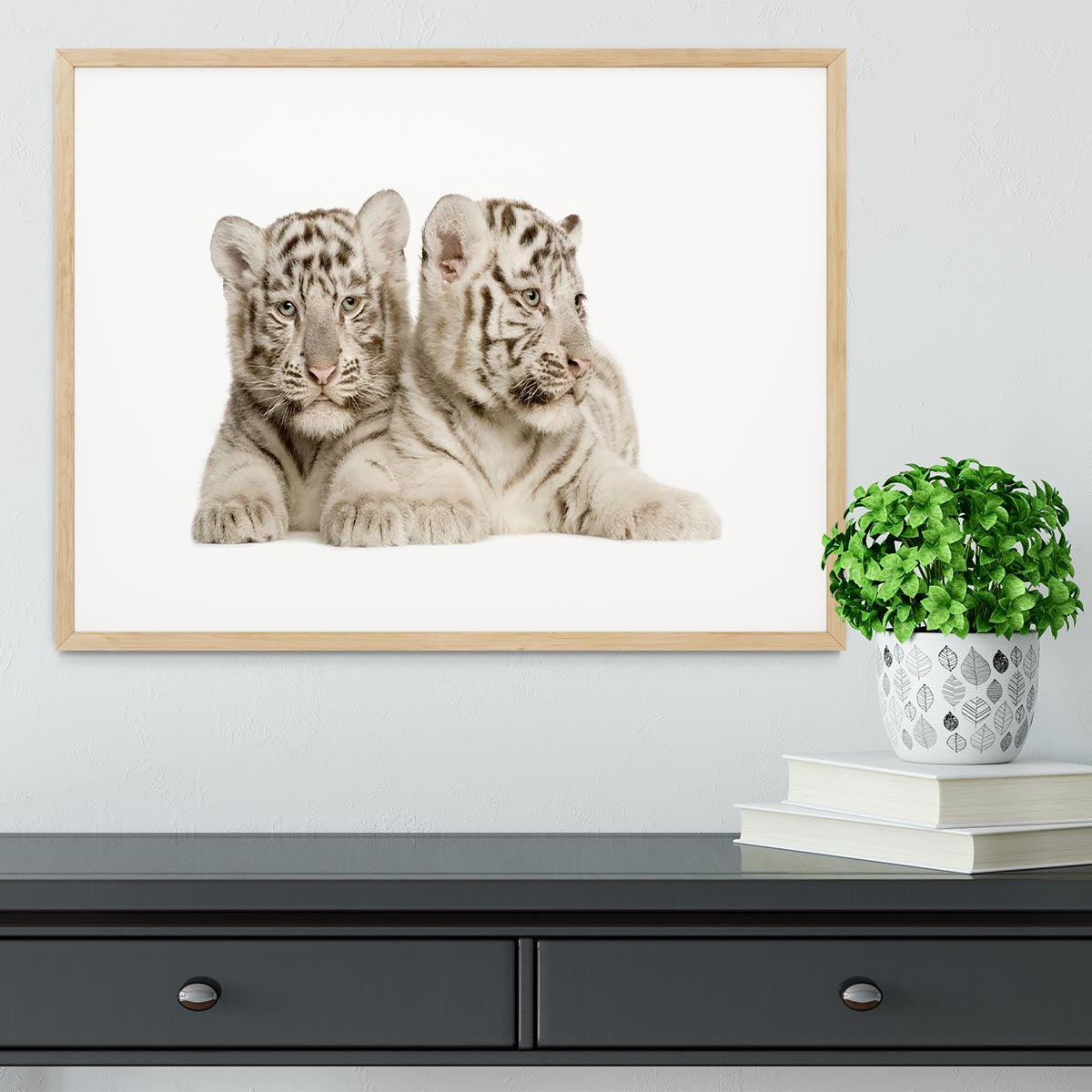 White Tiger cubs Framed Print - Canvas Art Rocks - 3