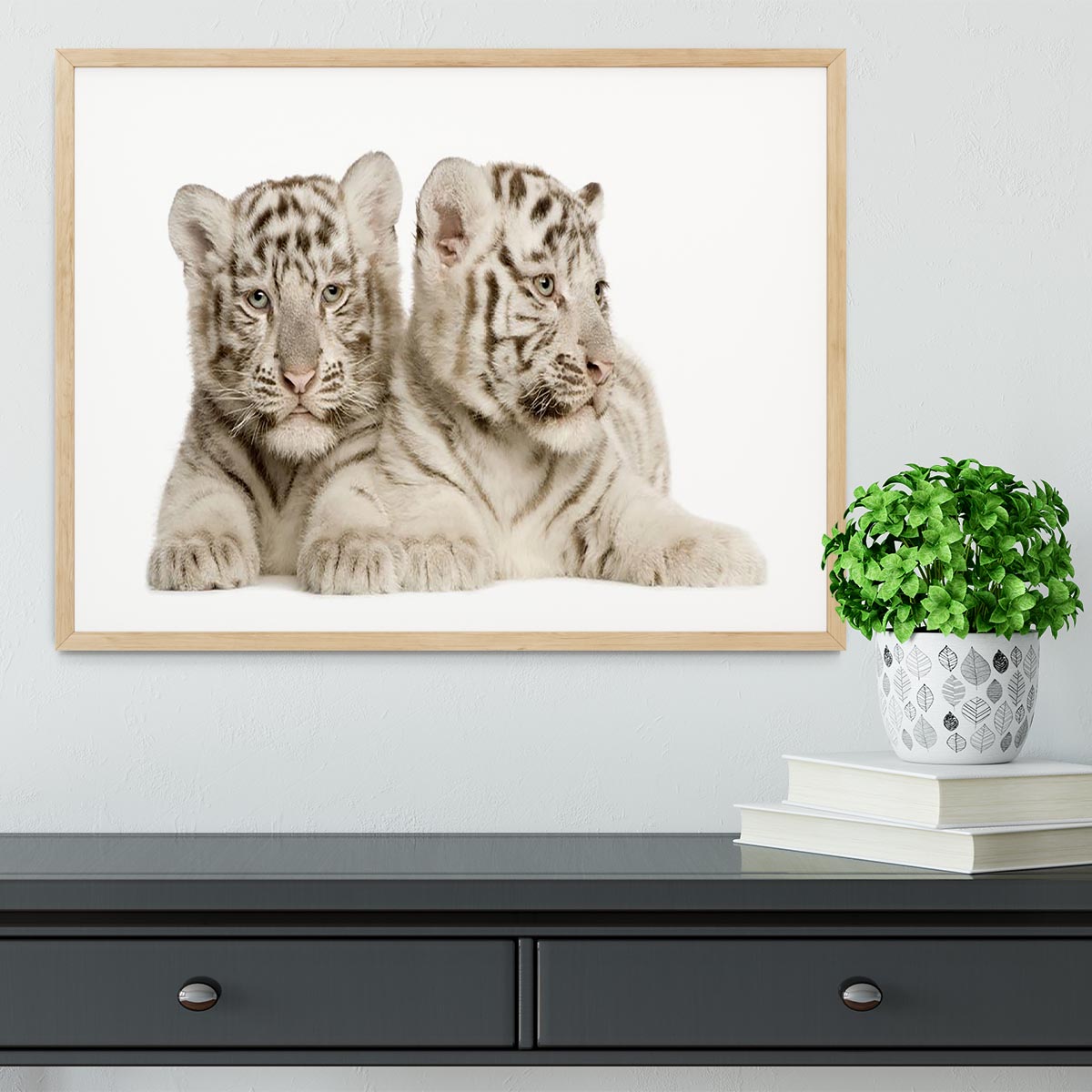 White Tiger cubs Framed Print - Canvas Art Rocks - 4
