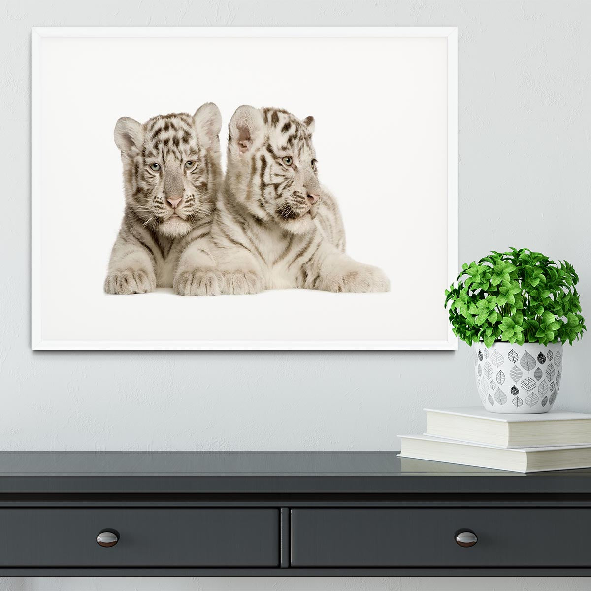 White Tiger cubs Framed Print - Canvas Art Rocks - 5