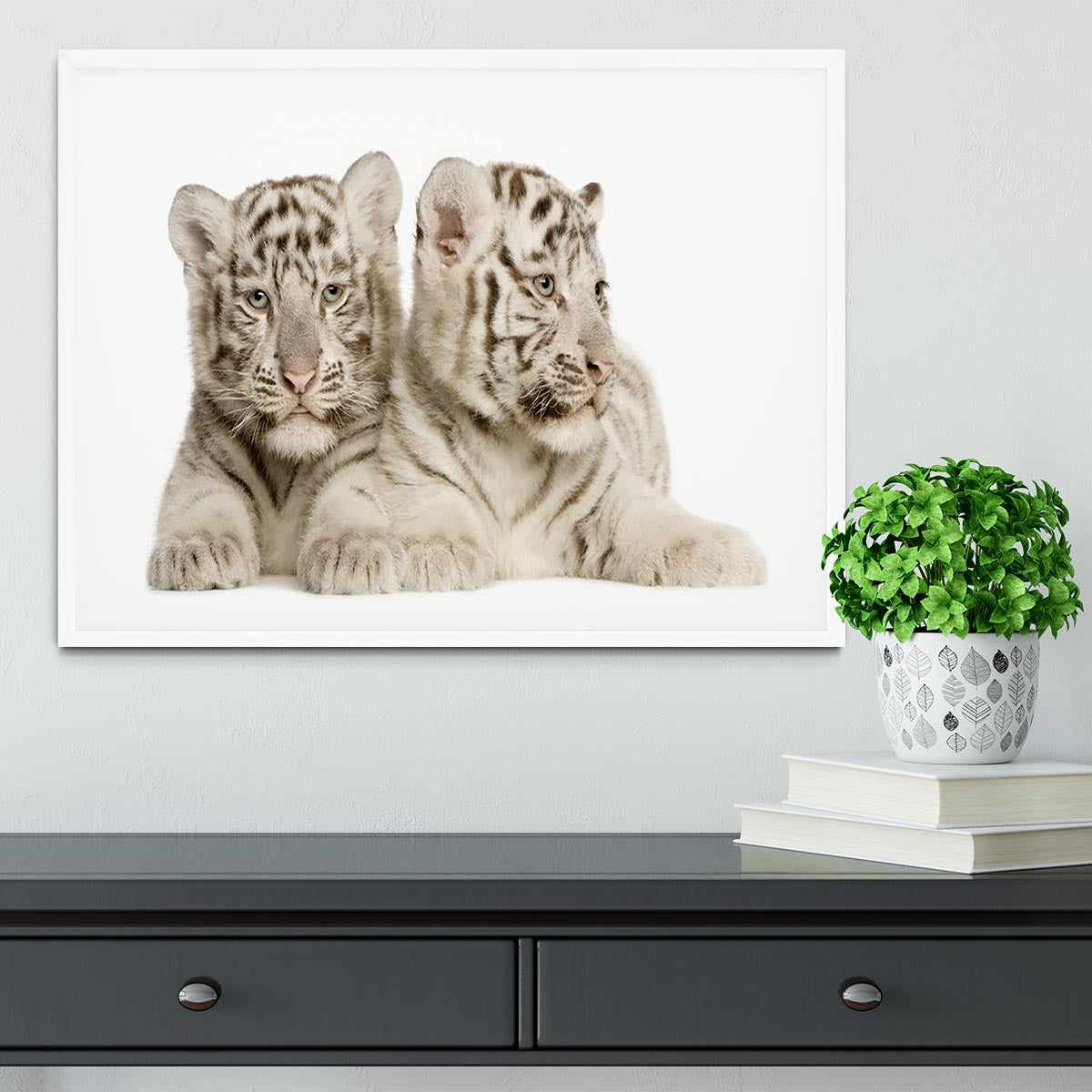 White Tiger cubs Framed Print - Canvas Art Rocks -6