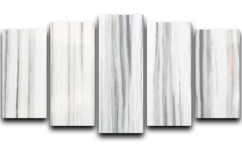 White and Grey Striped Marble 5 Split Panel Canvas - Canvas Art Rocks - 1