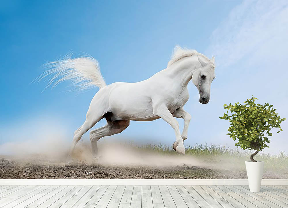 White arabian horse Wall Mural Wallpaper - Canvas Art Rocks - 4