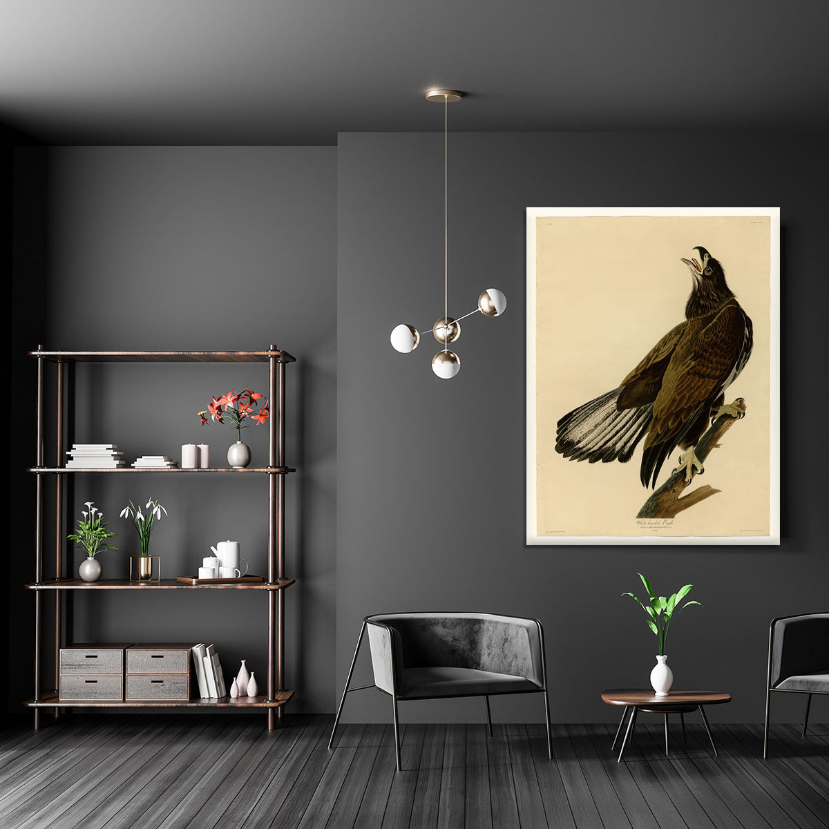 White headed Eagle 2 by Audubon Canvas Print or Poster - Canvas Art Rocks - 5