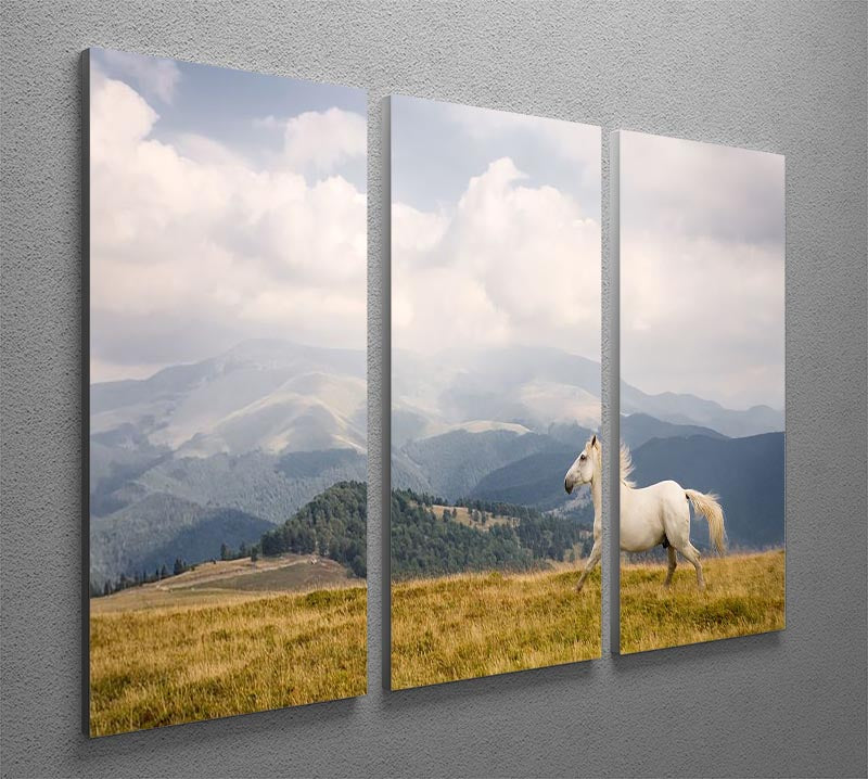 White horse 3 Split Panel Canvas Print - Canvas Art Rocks - 2